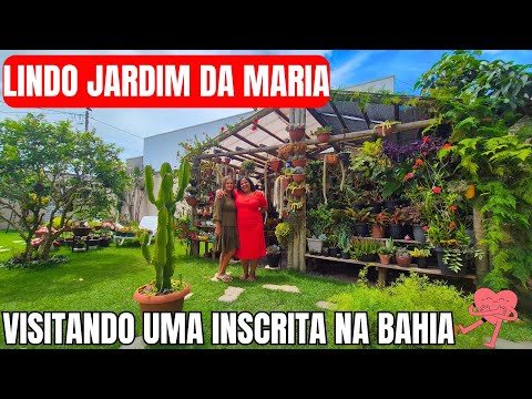 JARDIM ENCANTADO DA MARIA | LINDAS PLANTAS: FOLHAGEM, ORQUÍDEA, SUCULENTA, MANDEVILLA E BUGANVÍLIA