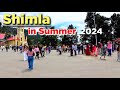 Shimla in Summer 2024 | Shimla Himachal Pradesh | Shimla Tourist Places #shimla
