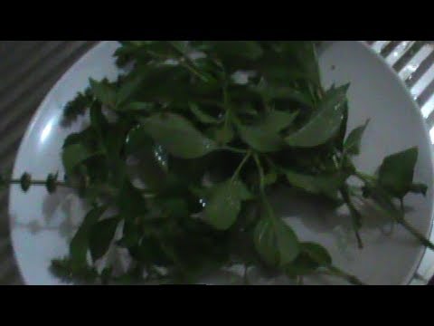 Membeli potensi obat levitra levitra Tetes exciter membeli di Nizhny Novgorod
