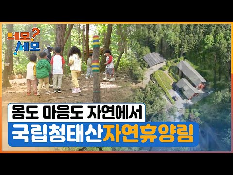 [네모세모] 횡성 – 힐링