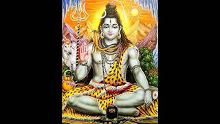 Shiva   Dj Nirvana