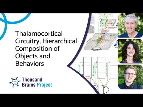 2025/03 - Thalamocortical Circuitry, Hierarchical Composition of Objects and Behaviors