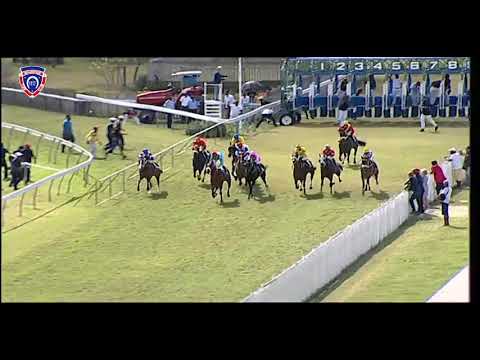 RM30 R4 | Rap Attack | M.Nunes