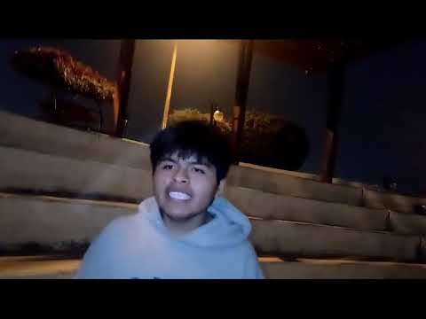 CHIQUI WILLY VS FL VS DAXIUS VS HUMPREY FILTROS