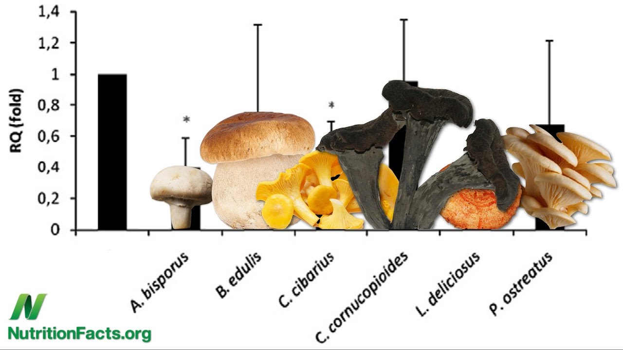 Boosting Immunity While Reducing Inflammation