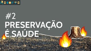 O problema das queimadas | Recorte