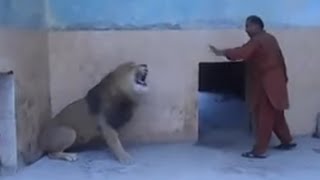 A Man Enter in lion cage with stick see what hppn next Part 3