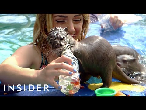Swimming With Otters + Horseback Riding In The Ocean | Travel Dares Ep 2