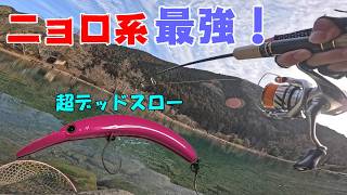 超ドクリアな池でニョロ系ルアーがヤバすぎた・・・【エリアトラウト】【管理釣り場】【大芦川F＆Cフィールドビレッジ】