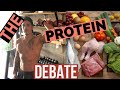 THE TRUTH ABOUT PROTEIN | WHAT ARE THE BEST SOURCES OF PROTEIN | PLANT OR ANIMAL | NUTRITION 101