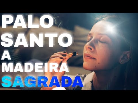 Vídeo: Significado de Palo: perguntas e respostas