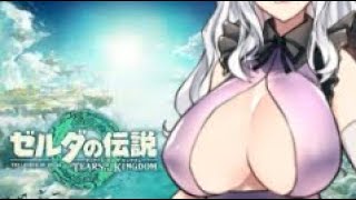 【 ティアキン】ワタイの伝説　その９　火山周辺で戯れる【綿井霞】