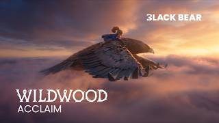 Acclaim