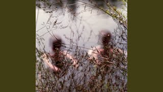 Migrating Geese Overhead Music Video