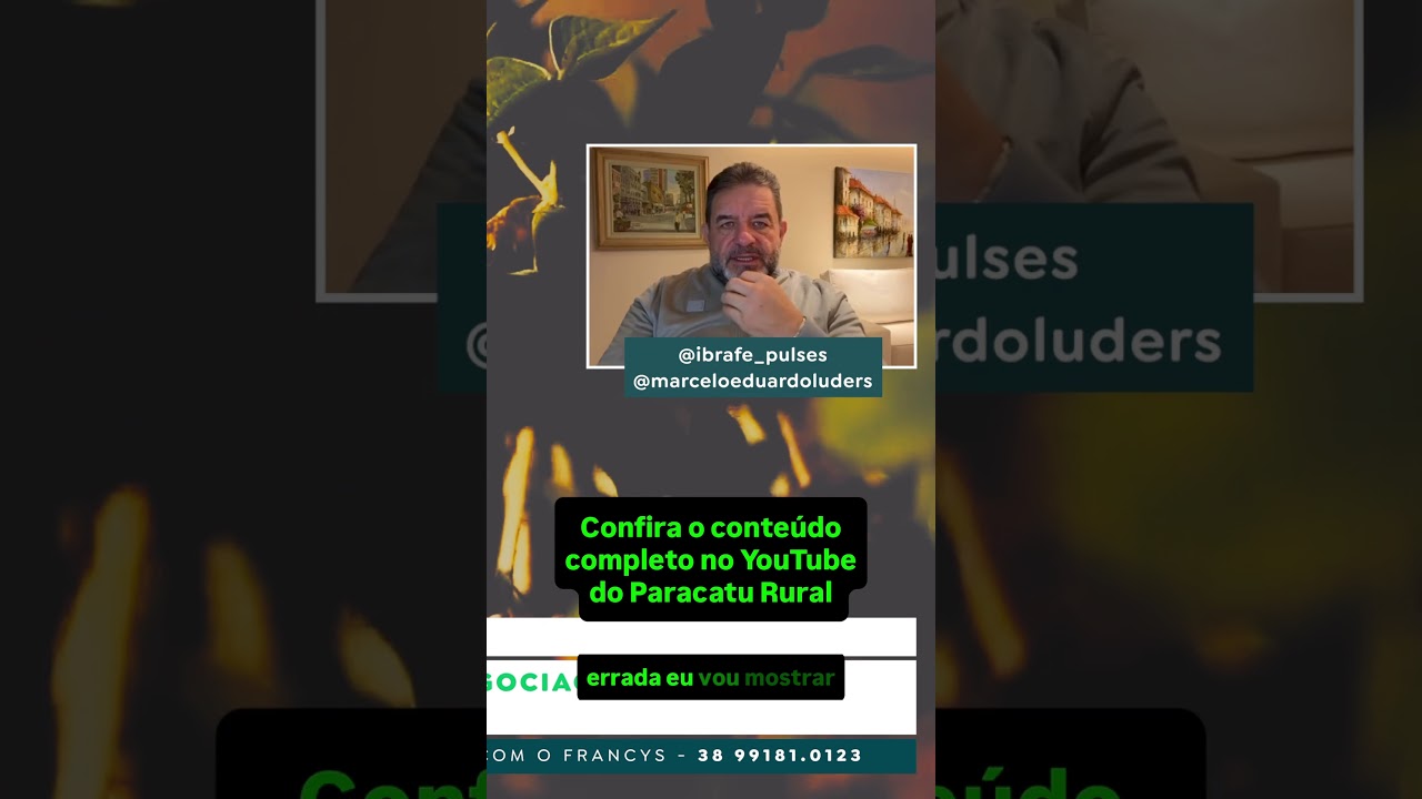 Negociações do Feijão Param no Campo e no Varejo: O Que Precisa Mudar?