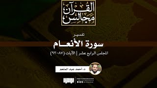 صورة تفسير سورة الأنعام (14) | الآيات (87-93) | د. أحمد عبد المنعم