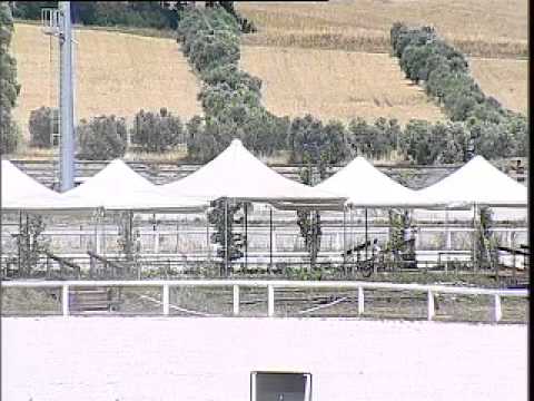 IPPODROMO DEI PINI - Prova di riqualifica 5 anni