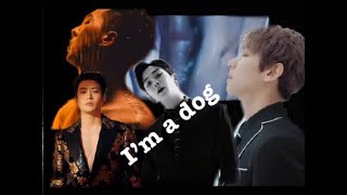 Multi-kpop I’m a Dog- D.Brown