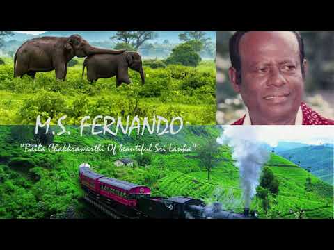 පොල්කිච්චී වාගේ | Polkichchi Wage - M S Fernando