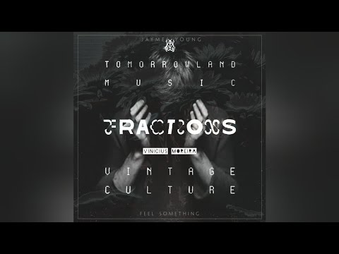 Vintage Culture vs. Jaymes Young - Fractions vs. Infinity (Vinicius Moreira Mashup)