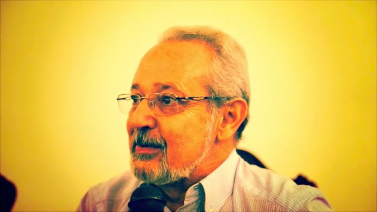 Teoria da Historia como ciência. Estevão de Rezende Martins (Dir.: Renato Lopes Leite)