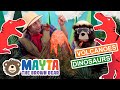 Volcanoes For Kids Science Experiments For Kids Dinosaurs For Kids