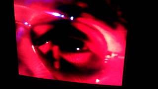 Shed 7 heroes live tfi friday