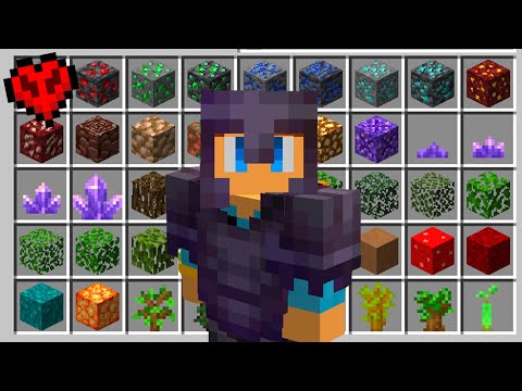 ULTIMATE Minecraft Hardcore ITEM Collection! (PT. 2)