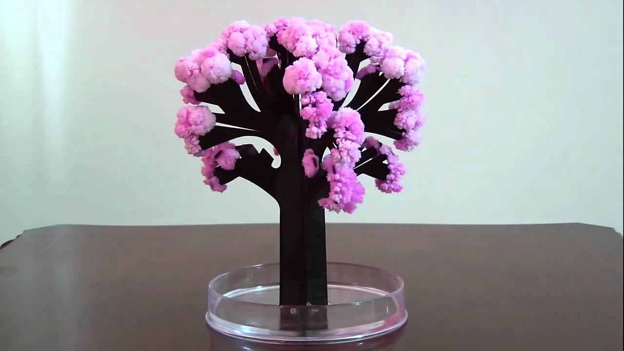 Magischer Sakura Baum