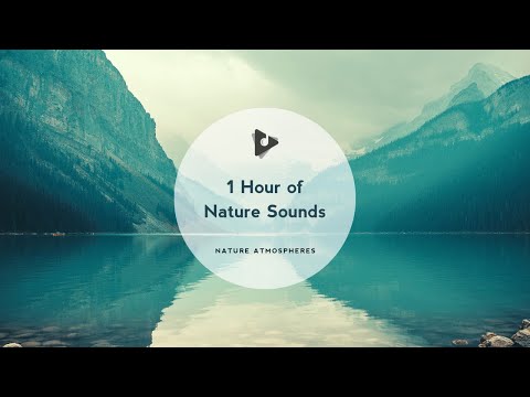 1 Hour of Nature Sounds | Nature Atmospheres | Lullify ∞ 29