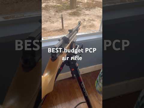 BEST Predator Control Gun --Beeman Air Rifle