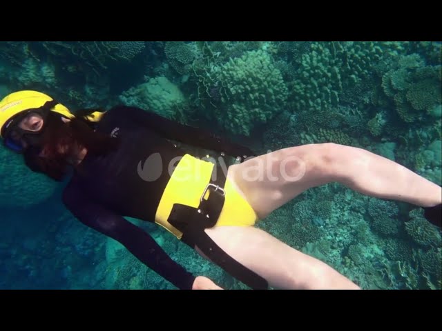 Freediver sexy Girl in yellow bikini wearing yellow fins beholding beautiful coral reef underwater