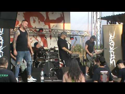 download lagu mp3 mp4 Flesh Party 2019, download lagu Flesh Party 2019 gratis, unduh video klip Flesh Party 2019