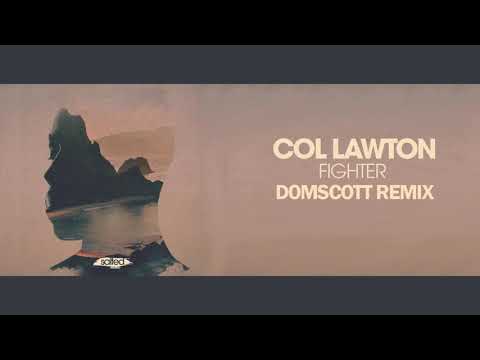 Fighter (Salted Music) - Domscott Remix