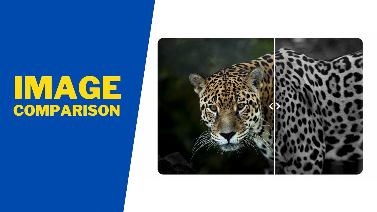 How To Create An Image Comparison Slider Using HTML, CSS and JavaScript