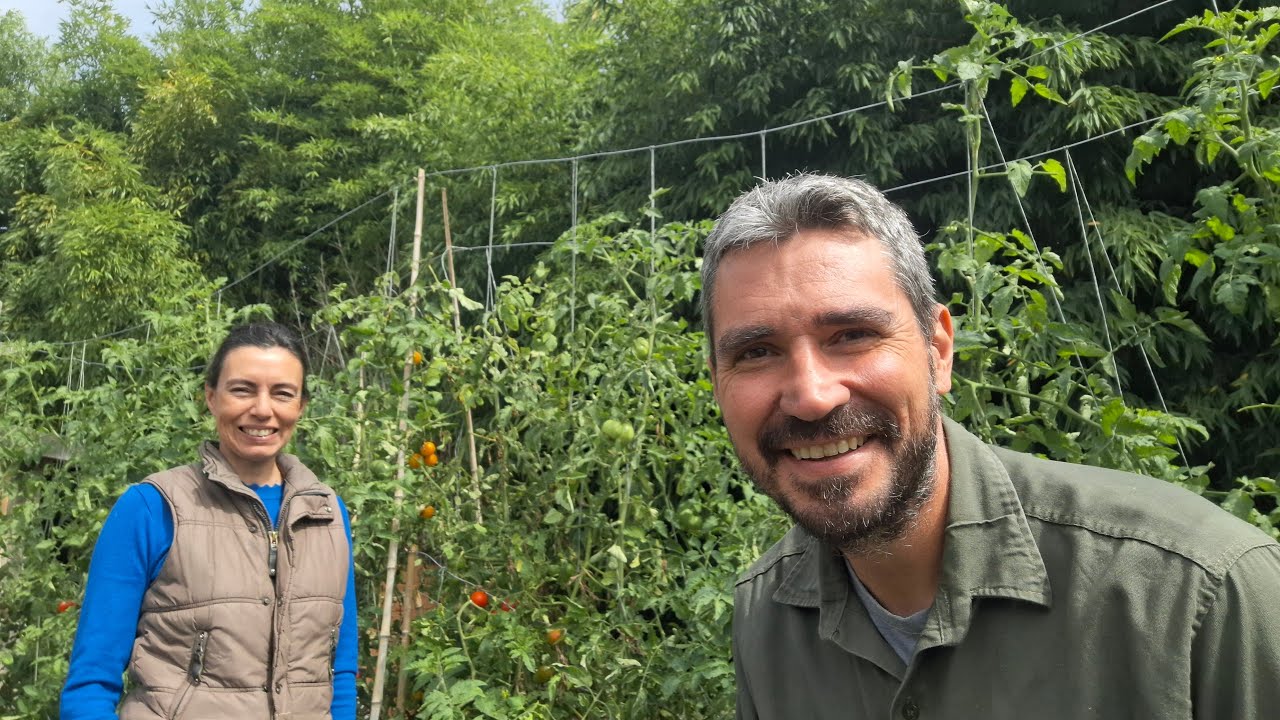 Desprocastrina conmigo 44