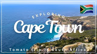 【ケープタウン】魅力がいっぱい！南アフリカ第2の都市を満喫する4日間🇿🇦