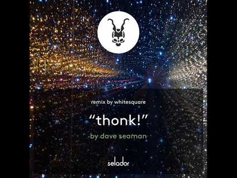 Dave Seaman - Thonk! (Whitesquare Remix)