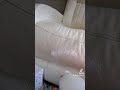 Cleaning My White Leather Couch Shorts