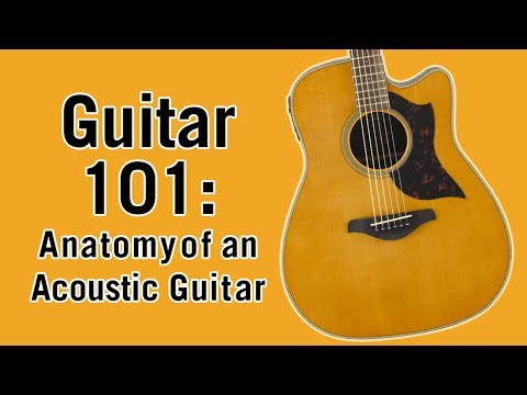 Guitar 101: Anatomy of an Acoustic Guitar