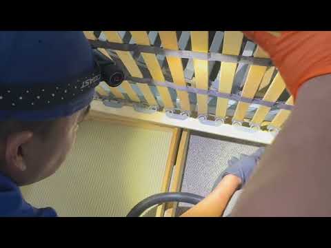 Wooden Bed Frame Infested with Bed Bugs in...