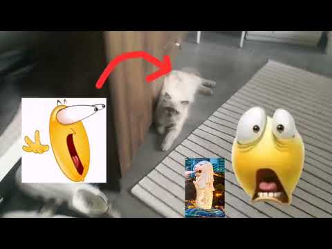 Arish recreates Singapore