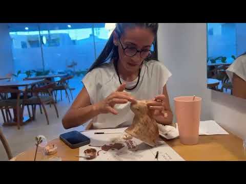 Experiencia turística en Café Pequeña Hormiga | Acacias, Meta