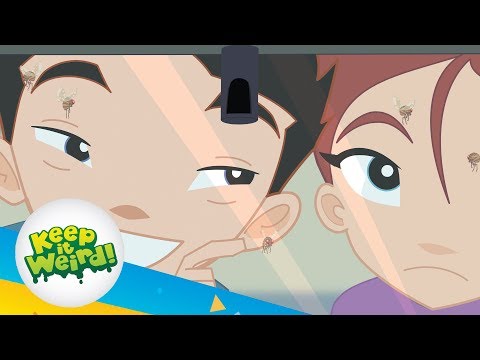 Episode 17 | Grossology | KEEP IT WEIRD