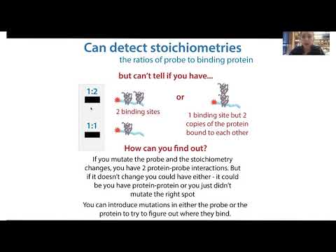 EMSA (gel shift assay) - Electrophoretic Mobility Shift Assay. Theory, pros, cons, & controls!
