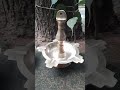 Brass Collection Brass Lamp Deepam Shorts