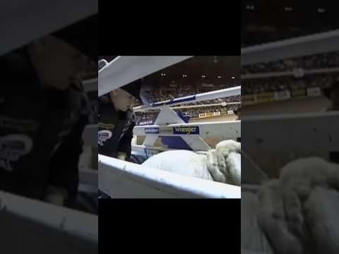 🇺🇲 Jim Sharp 🆚 Promise Land - 02 PBR Ft. Worth (94 pts) #shorts #sports #rodeo #bullrider #agro