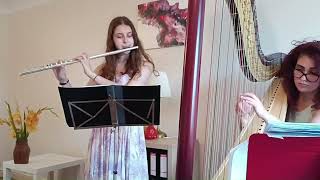 Download lagu Donizetti  - Sonata for Flute and Harp (mvmt.1 Larghetto) mp3