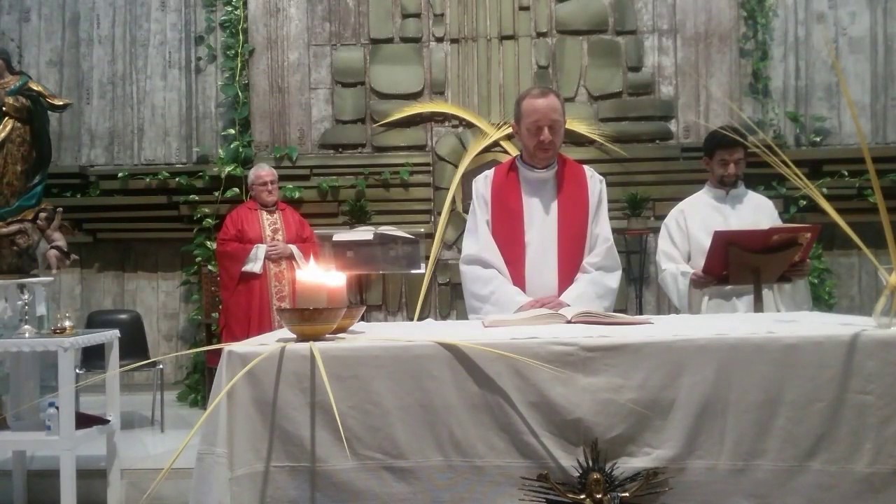 Retansmisión en directo del Domingo de Ramos