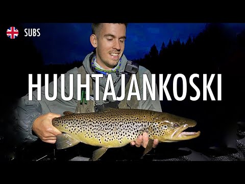Perhokalastamassa villejä Huuhtajankosken taimenia